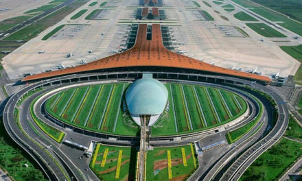 紧急更新 | 北京国际航班分流其它机场入境，解答您关心的问题