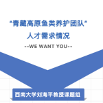 带队项目，价值极高，难度要求也很高，你可以吗？